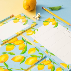 Planning Citrons Quartier Libre