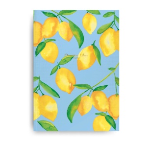 Carnet Citrons Quartier Libre